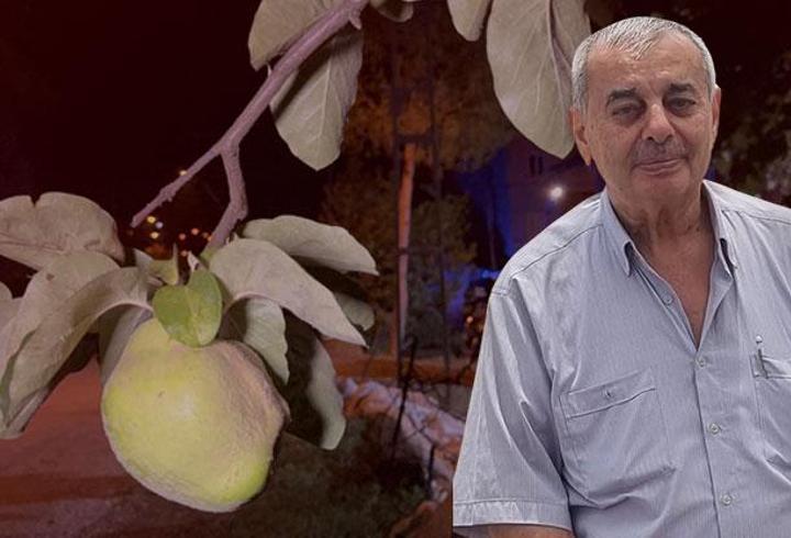 Ayva dalı ölüm getirdi: Fransa’dan geldi amcasına ateş etti